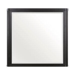 1381-6 Mirror