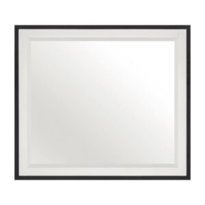 1456-6 Mirror
