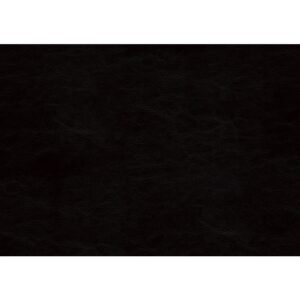 1519BK_swatch__l.jpg