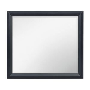 1553-6 Mirror