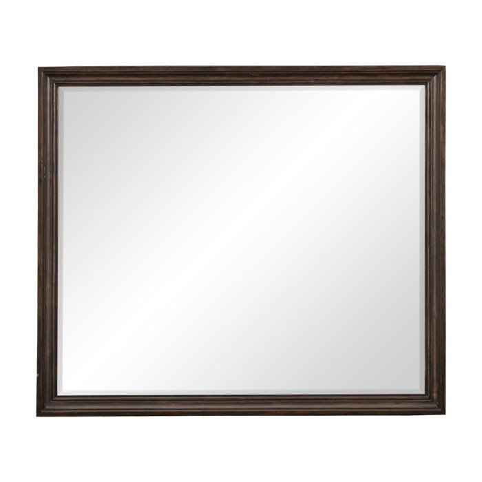 1689-6 Mirror