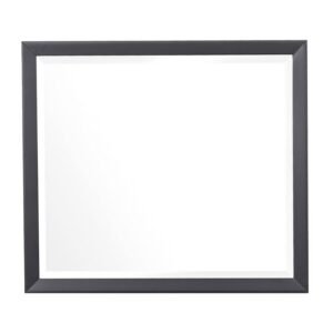 1711-6 Mirror