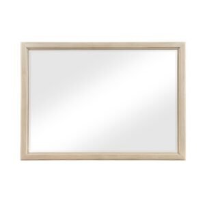 1730NB-6 Mirror