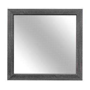 1904GY-6 Mirror