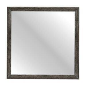 2145NP-6 Mirror
