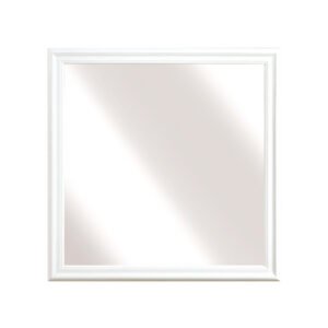 2147W-6 Mirror
