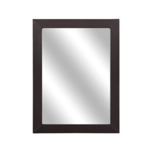 2220DBR-6 Mirror