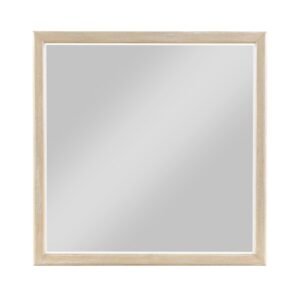 2418-6 Mirror