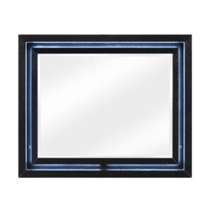 2425-6 Mirror