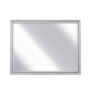 2434SV-6 Mirror
