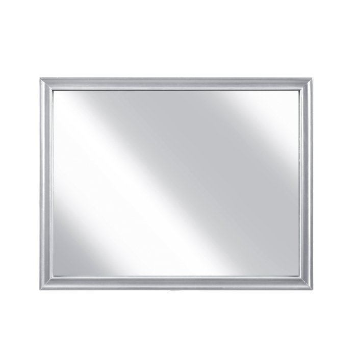 2434SV-6 Mirror