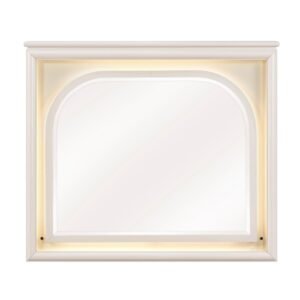 2451-6 Mirror