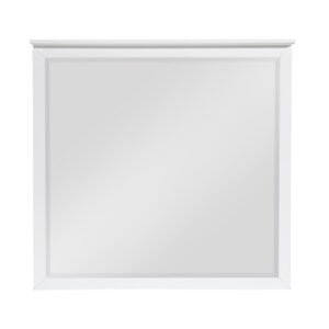 B2024WH-6 Mirror