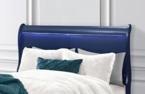 Charlie-Blue-Queen-HB-Close-Up-5.webp