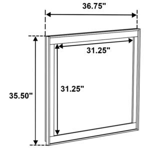 222971Q-S5_19x900.jpg
