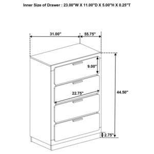 224781Q-S5_19x900.jpg