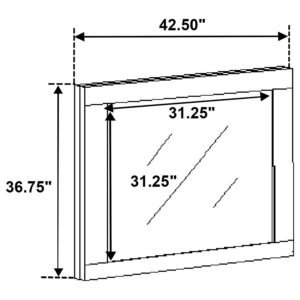 224981Q-S5_19x900.jpg