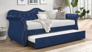 Abby_Blue_1500_975.jpg
