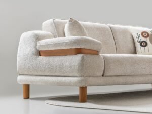 Latte_Livingroom_5.jpg