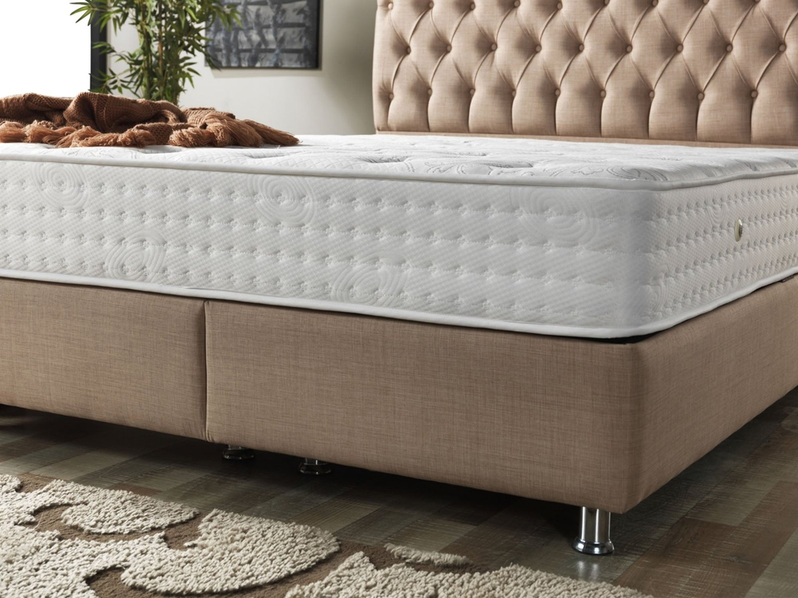 Second image of Lima Chair Cream