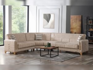 Line_Sectional_1.jpg