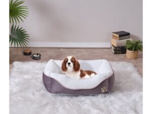 petbedant 9 88dac1cf 7883 420b b618 23ff6b4409d1.jpg