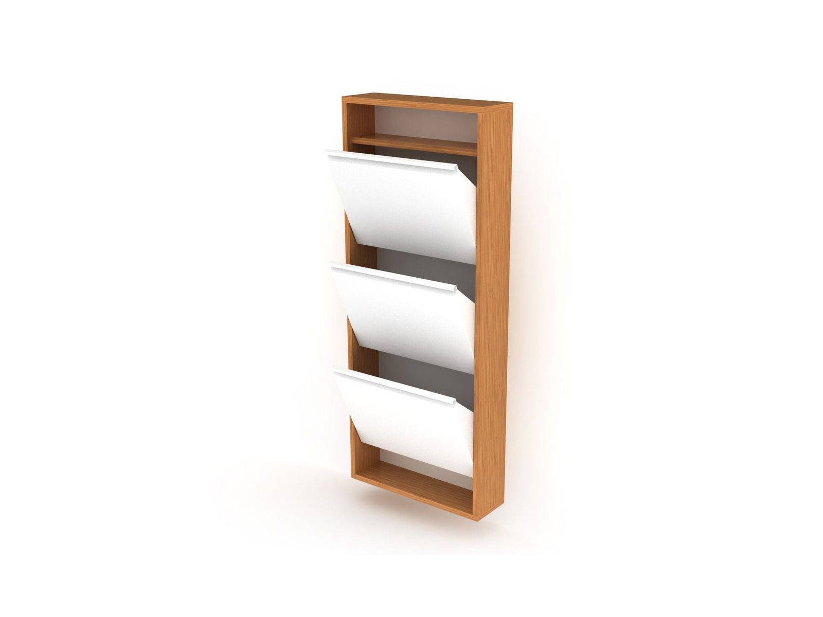 Second image of Hide Shoe Case